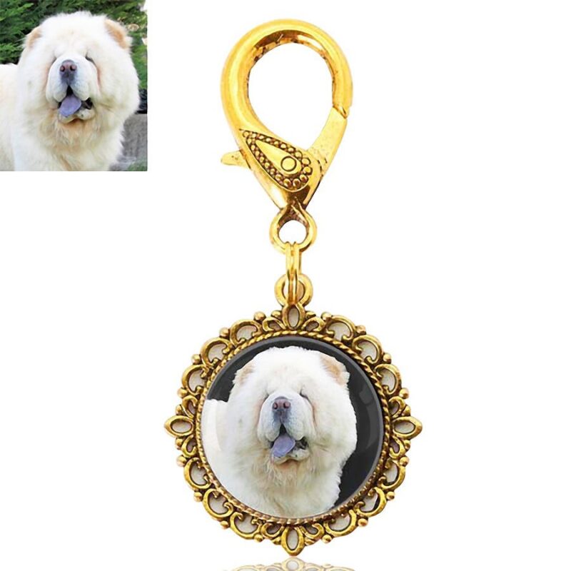 Gold Photo Keepsake Key Ring or Bag Charm