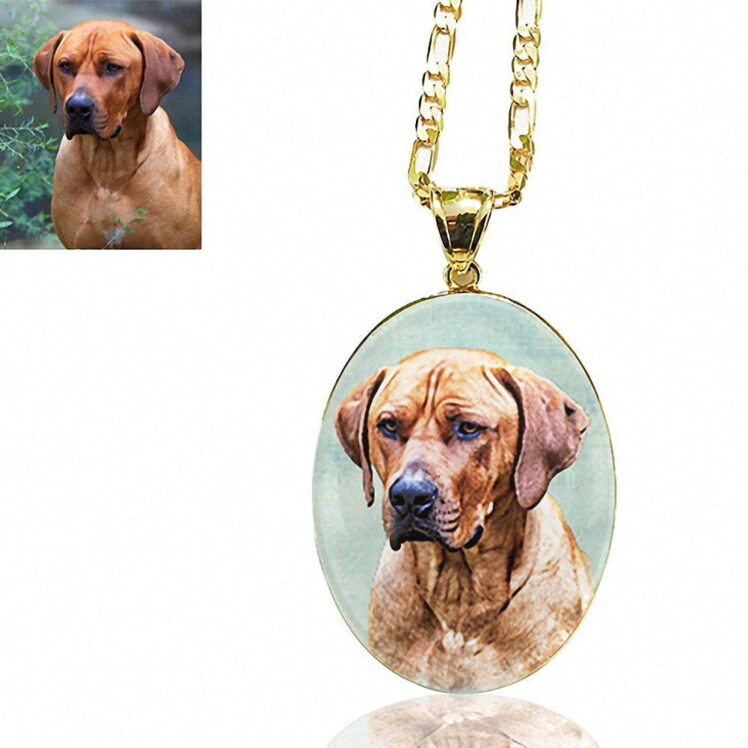 Gold Plated Oval Photo Keepsake Necklace