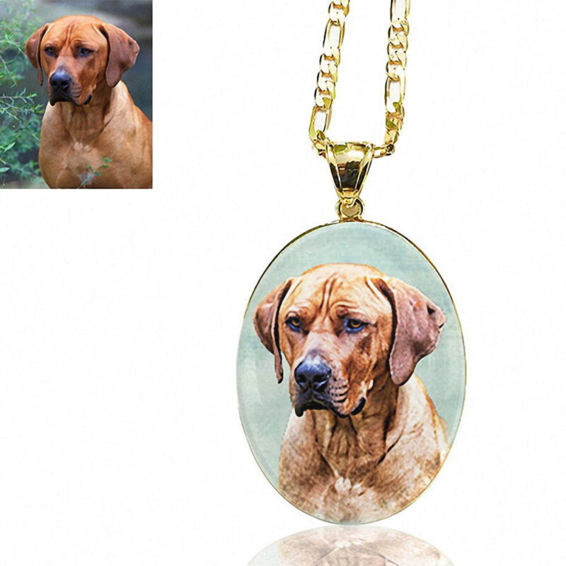 Gold Plated Oval Photo Keepsake Necklace