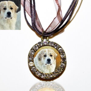 Bronze Photo Keepsake Necklace with Swarovski