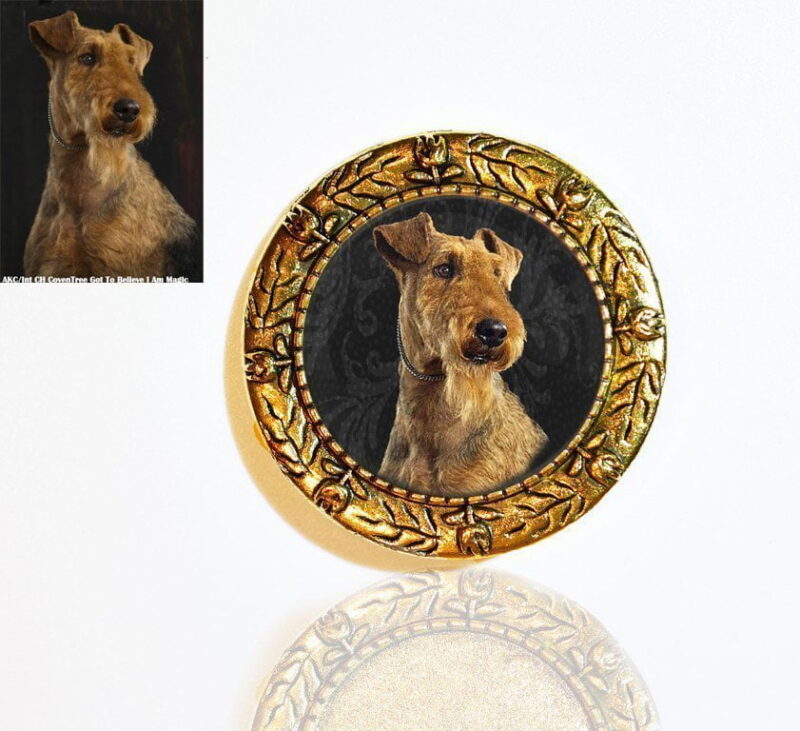 Gold Plated Photo Brooch