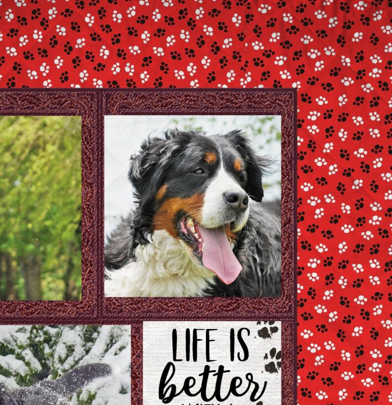 Red Paw Prints Photo Quilt - Image 4