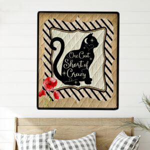 one cat short of crazy